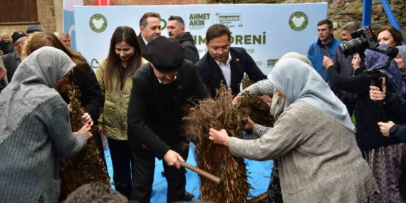 Balıkesir’de susam üreticisine büyük destek: Alım fiyatı 155 TL’ye yükseldi