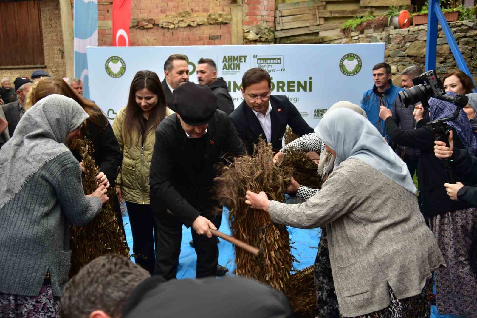 Balıkesir’de susam üreticisine büyük destek: Alım fiyatı 155 TL’ye yükseldi
