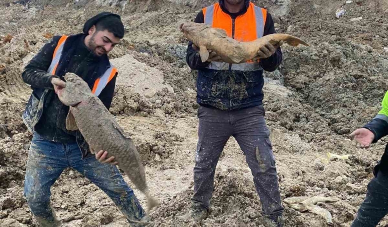 Arnavutköy’de İBB’nin döküm sahasına çevirdiği Mavi Göl’de balıklar can çekişiyor