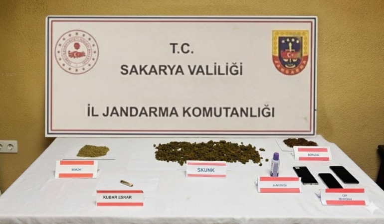 Jandarmadan uyuşturucu baskını: Ev sahibi tutuklandı