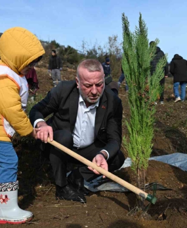 Karacabey’de yangın sonrası ilk fidanlar toprakla buluştu