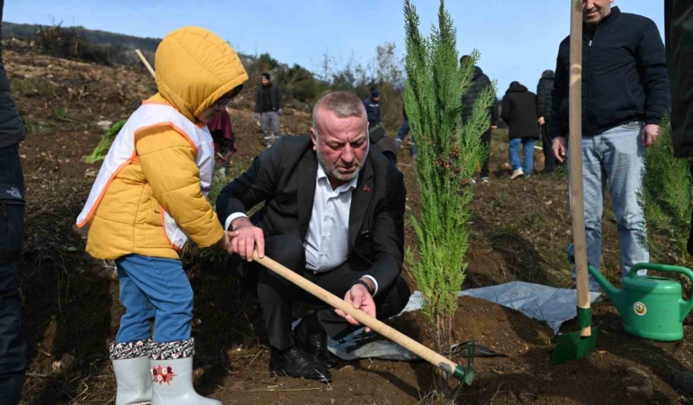Karacabey’de yangın sonrası ilk fidanlar toprakla buluştu