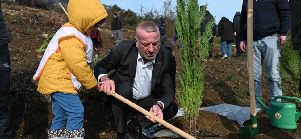 Karacabey’de yangın sonrası ilk fidanlar toprakla buluştu