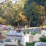 Pendik’te 2 gündür aranan şahıs mezarlıkta ölü bulundu