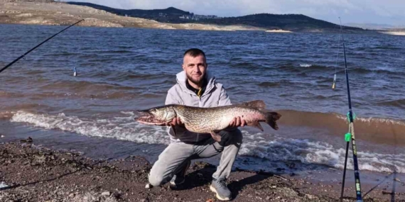 (Düzeltme) Sındırgı’da dev turna balığı yakalandı