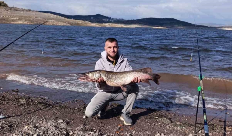 (Düzeltme) Sındırgı’da dev turna balığı yakalandı