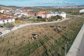 572 fidanlı koruluk Akhisan’a nefes olacak