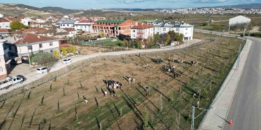 572 fidanlı koruluk Akhisan’a nefes olacak