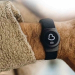 Büyükşehirden Alzheimer, Demans ve Otizm hastalarına "Akıllı Takip Cihazı Desteği"