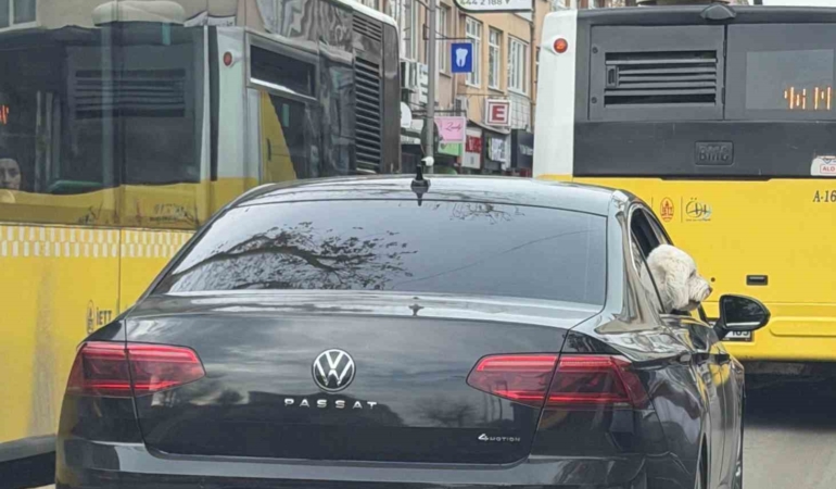 Üsküdar’da yeni başkan eski başkanın makam aracını köpeğine tahsis etti iddiası