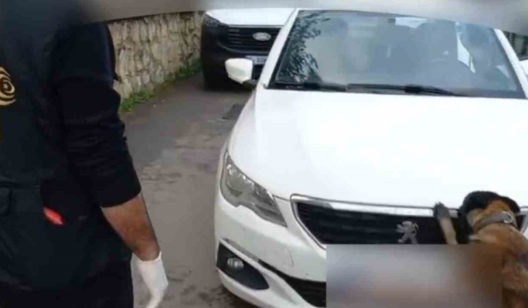 92 kilo bonzai hammaddesi taşıyan 2 şüpheli gözaltına alındı