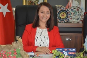 Pazaryeri TOKİ’de anahtar teslimi başlıyor