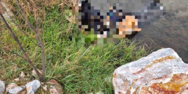 Trenin geçtiği köprüde hayatını kaybetti