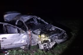 Bandırma’da otomobil domuza çarpıp takla attı: 1 ölü, 1 yaralı