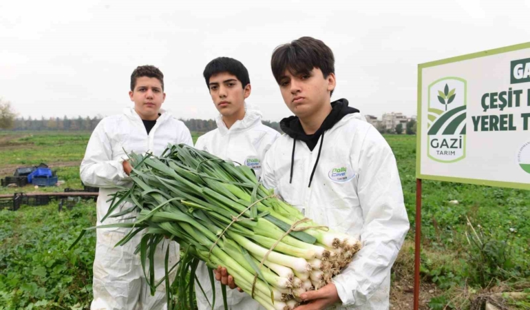 Osmangazi’de pırasa hasadıyla doğallık sofralara taşınıyor