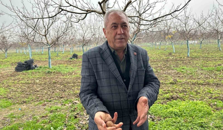 Cevizle yaşam şartları değişen köyde İstanbullular da bahçe kuruyor