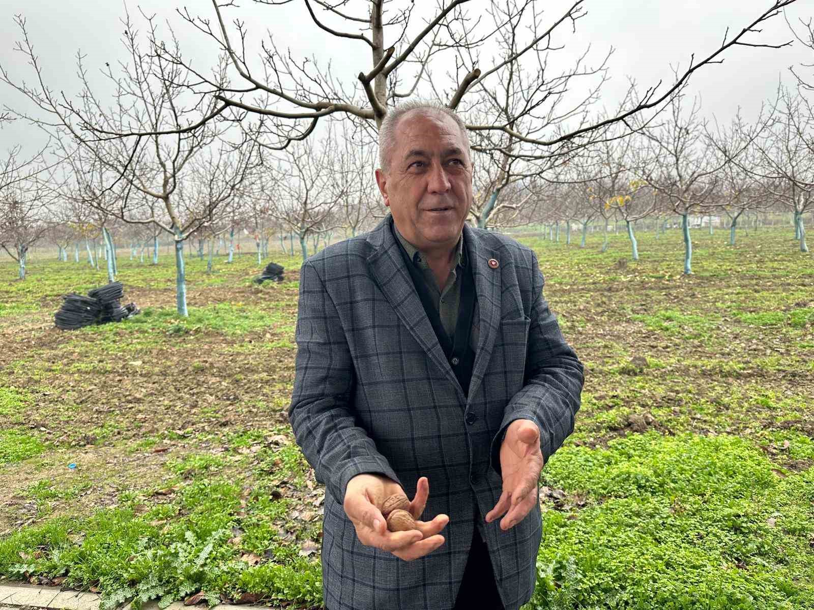 Cevizle yaşam şartları değişen köyde İstanbullular da bahçe kuruyor