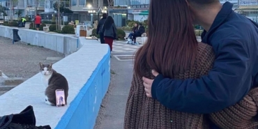 Bursa sahilinde ilginç fotoğraf çözümü: Tripod yerine kedi kullandılar