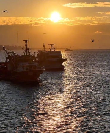 Boğaz’da fırtına sonrası balıkçılar yeniden denize açıldı