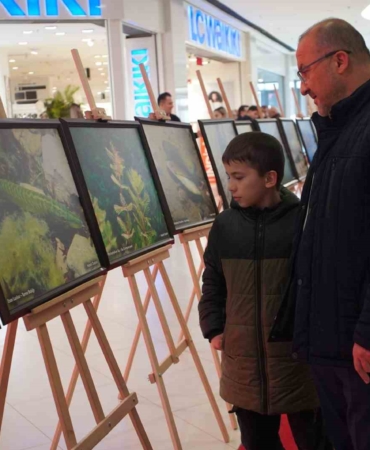 Sapanca Gölü fotoğrafları Gazze için umuda dönüştü: Geliri yetim ve öksüz çocuklara bağışlanacak