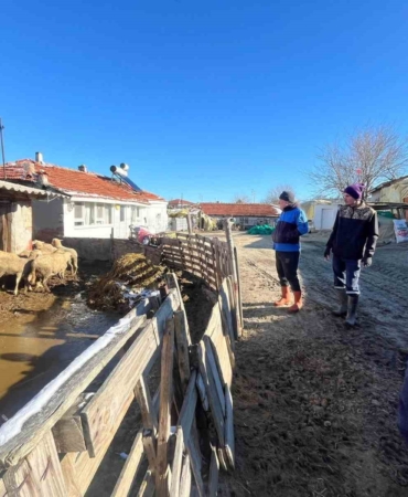 Aşı sırasında yeni doğan kuzu sevindirdi