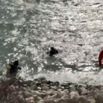 8 gündür kayıp Elif Kumal’dan henüz iz yok