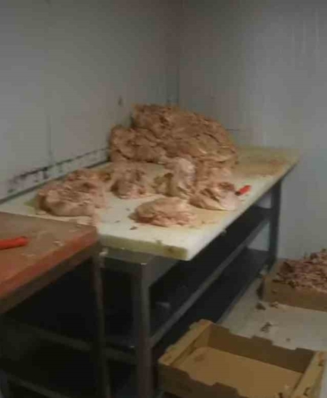 Kocaeli’de merdiven altı tavuk parçalama tesisine suçüstü