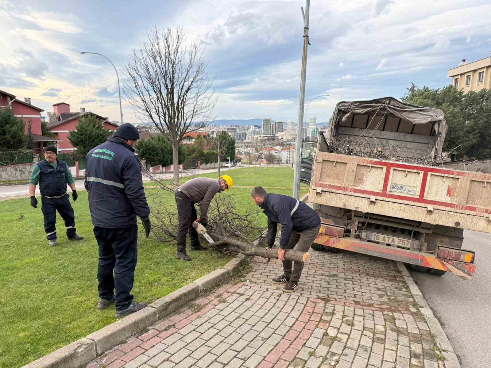 Şiddetli lodosun devirdiği ağaçlara anında müdahale