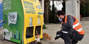 Yıldırım Belediyesi’nden sokak hayvanlarına sıcak yuva