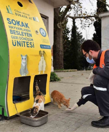 Yıldırım Belediyesi’nden sokak hayvanlarına sıcak yuva