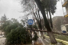 Dursunbey’de fırtına ağaçları ve çatıları uçurdu