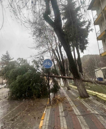 Dursunbey’de fırtına ağaçları ve çatıları uçurdu