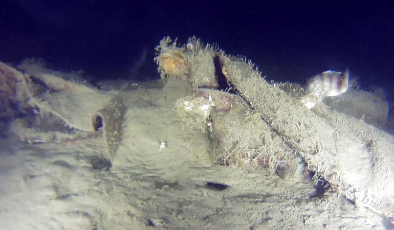 Marmara Denizi’ne 50 yıl önce düşen uçağın yeni parçaları bulundu