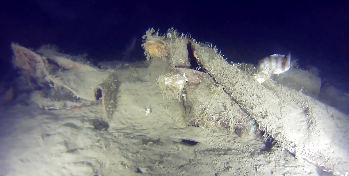 Marmara Denizi’ne 50 yıl önce düşen uçağın yeni parçaları bulundu