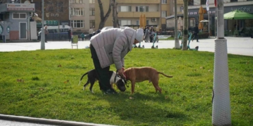 Kış ortasında sonbahar havası
