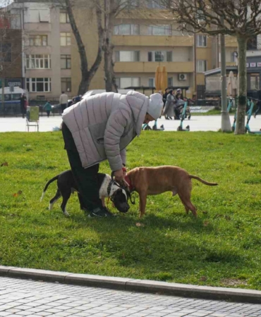 Kış ortasında sonbahar havası