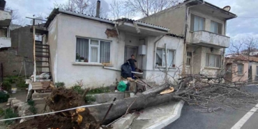 Çanakkale’de lodos fırtınasında devrilen ağaç evin çatısına zarar verdi
