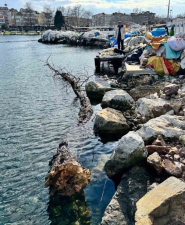 Marmara Denizi’nde feribot trafiği için tehlike oluşturan yüzen ağaç kıyıya çekildi