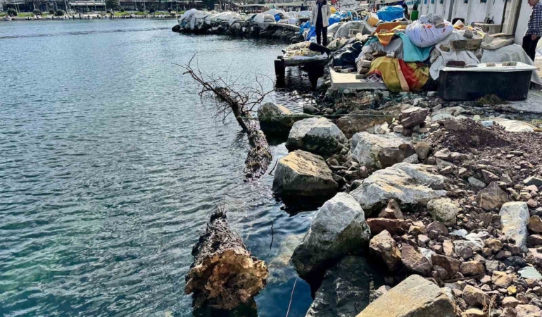 Marmara Denizi’nde feribot trafiği için tehlike oluşturan yüzen ağaç kıyıya çekildi