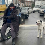 Çarşı pazar peşinden ayrılmıyor