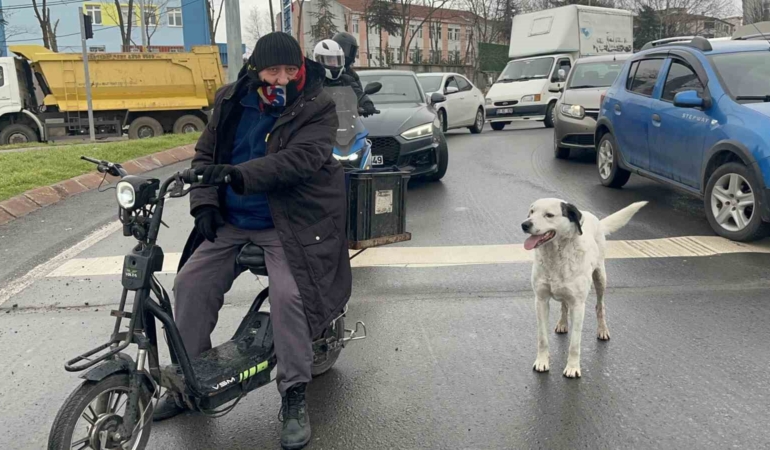 Çarşı pazar peşinden ayrılmıyor