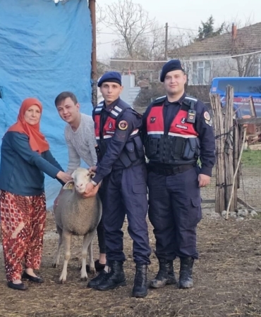 Çanakkale’de kaybolan 24 küçükbaş hayvan jandarma tarafından bulundu