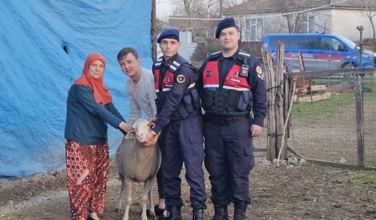 Çanakkale’de kaybolan 24 küçükbaş hayvan jandarma tarafından bulundu