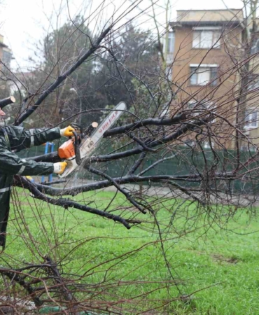 Büyükşehir ekipleri, şiddetli rüzgara karşı sahada