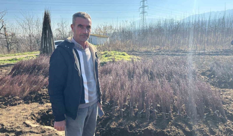 Kurulan her meyve bahçesinde "Bursa" imzası var