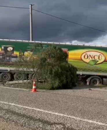 Gönen-Bandırma yolunda kontrolden çıkan tır şarampole savruldu