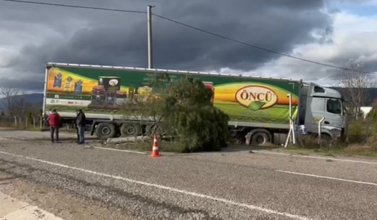 Gönen-Bandırma yolunda kontrolden çıkan tır şarampole savruldu