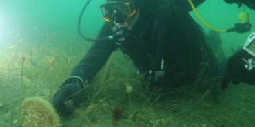 Belediye başkanı dalış yaptı, su altından müjdeyle çıktı