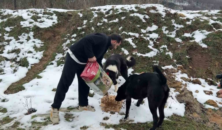 Uludağ’da aç kalan köpeklerin imdadına hayvanseverler yetişti