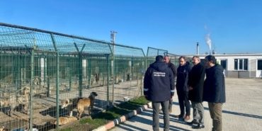 Kaymakam Özderin, Pınarhisar Geçici Hayvan Bakım ve Gözlem Merkezi’nde incelemelerde bulundu